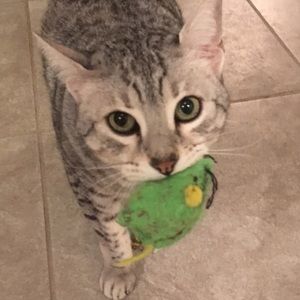 Meet your Posher, Leanna